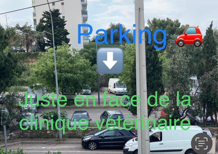 Location Chambre Avec Salle De Bain Et Partie Commune Sea View & Mountain View Renting 1 Of 3 Bedrooms With Shared Common Space 3 Bdrm Apt Not 1 Bdrm Plus Clime Ou Ac Bastia (Corsica) Exterior foto